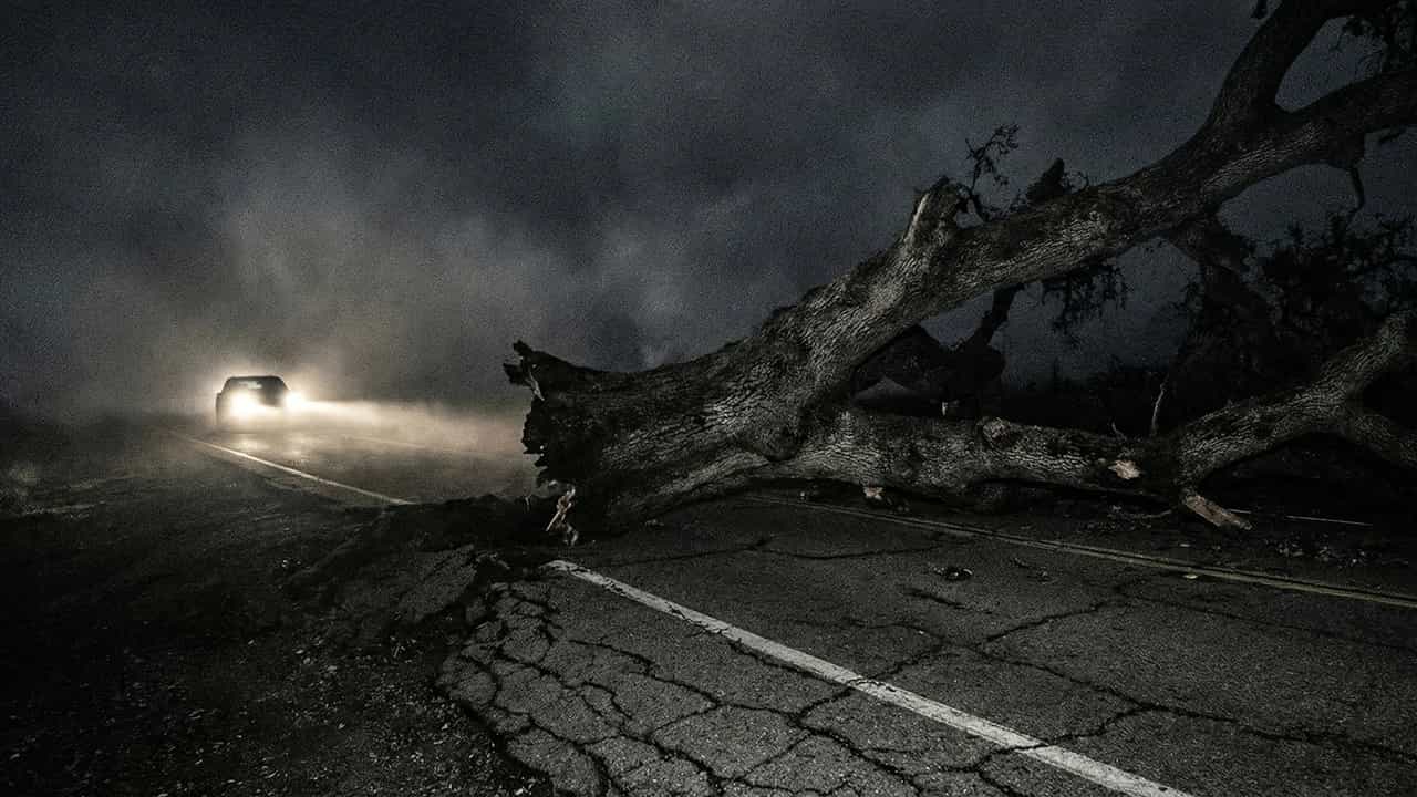 $401,849 Verdict in Fresno County Fallen Tree Collision