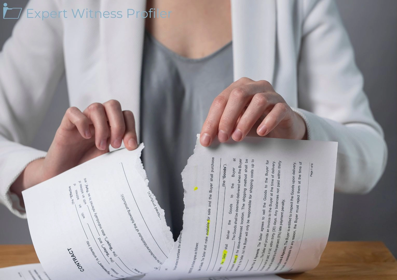 Insurance Expert Witness Barred from Testifying as to which Party is at Fault