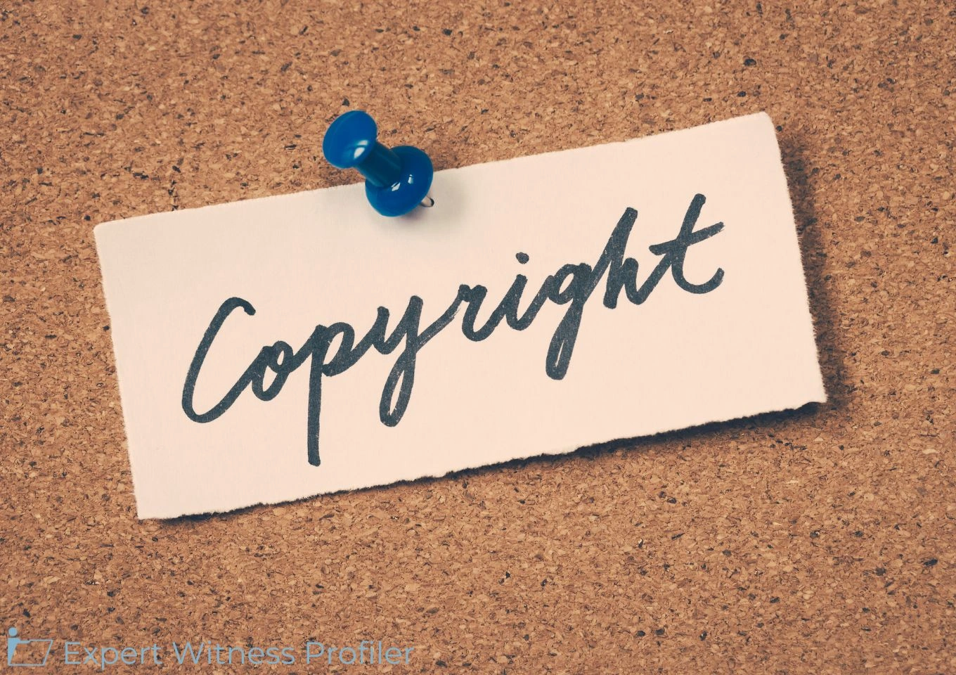 Film and Movie Production Expert Witness' Opinion Assists Court by Clarifying Article's Factual Elements