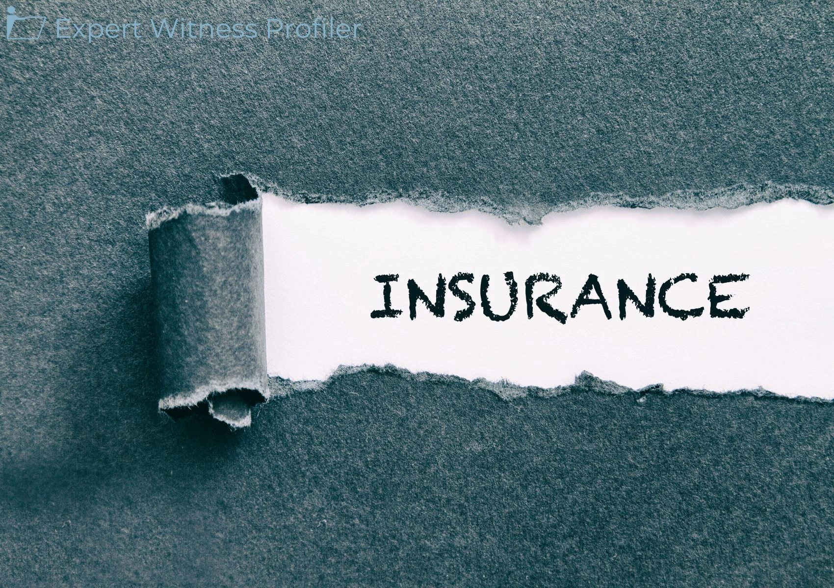 Insurance Expert Witness' Testimony Excluded Despite Being Crucial to Plaintiff's Claims
