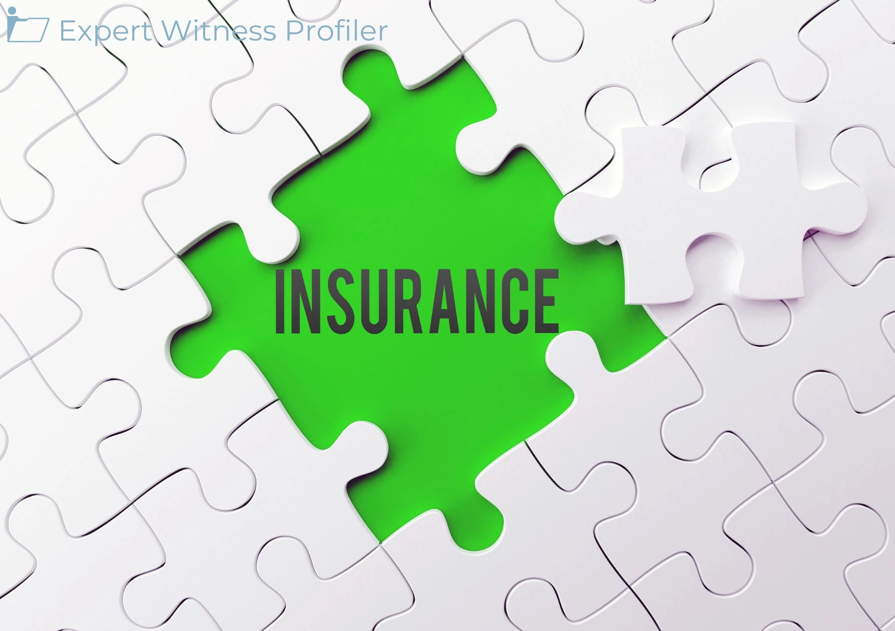 Insurance Expert Witness' Testimony With Regard to the Contract Interpretation Claims Excluded