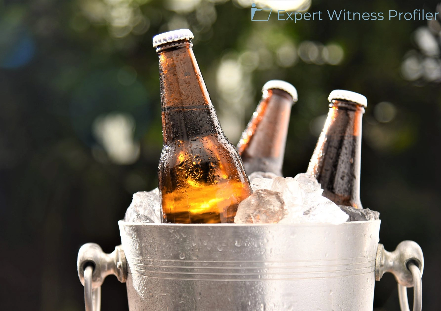 Expert Testimony on Economic Effects of Alcohol Regulations Admitted