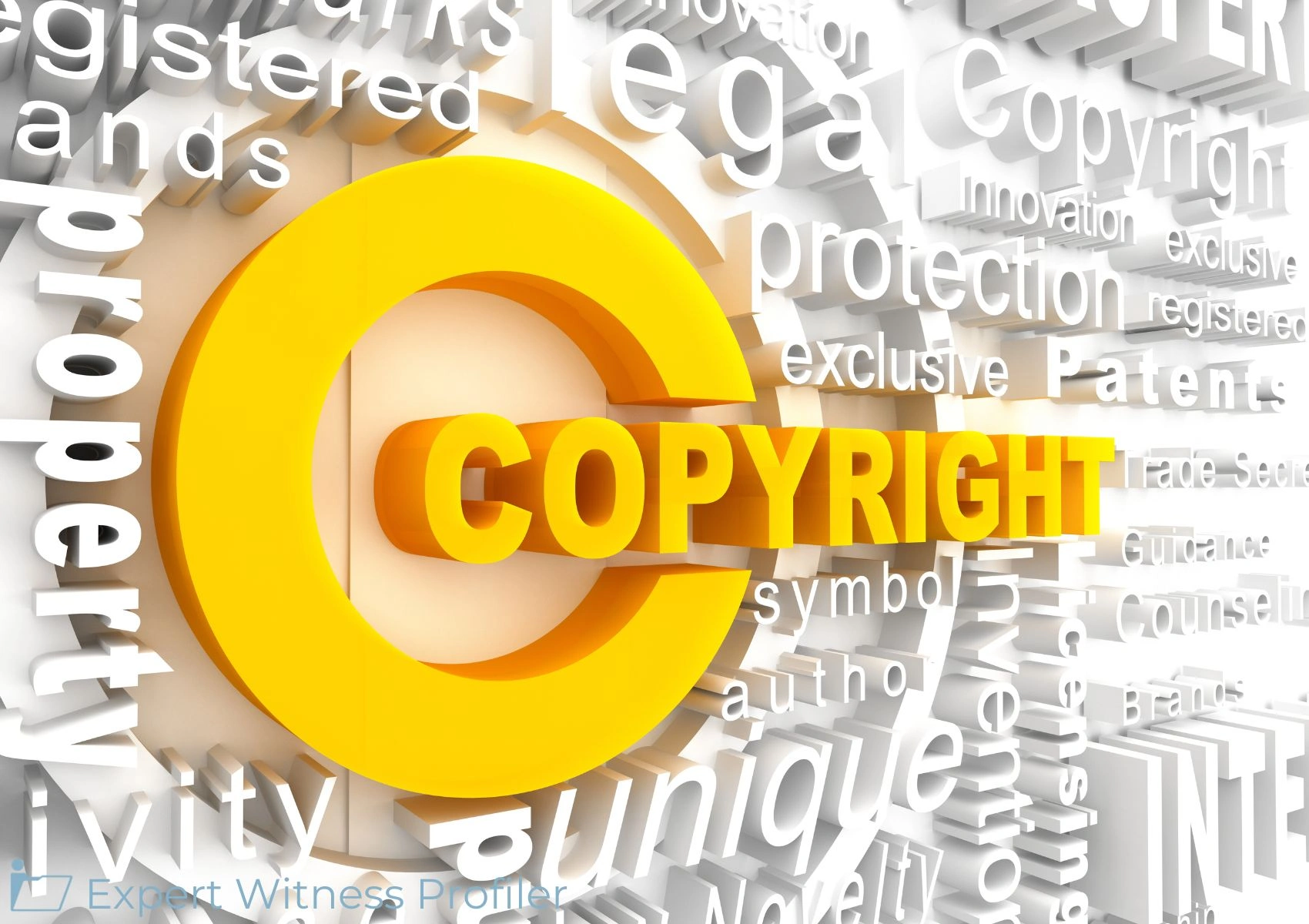 Licensing Expert's Experience-Based Opinion Admitted