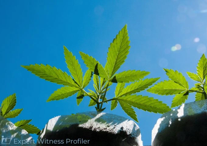 Plant Pathology Expert Allowed to Opine on HLVd Infection