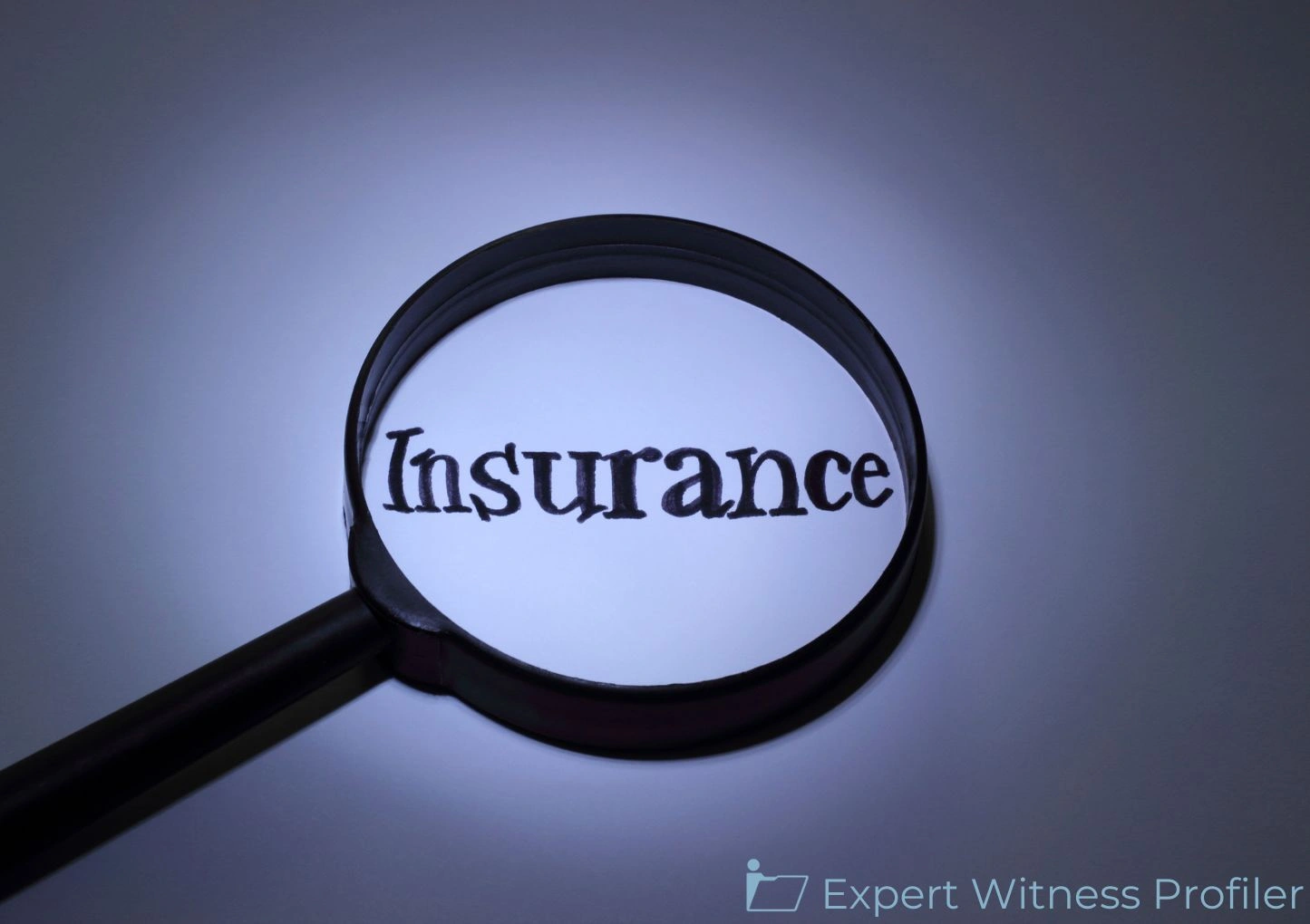 Law And Legal Expert Was Allowed to Opine on Claims Handling Customs 