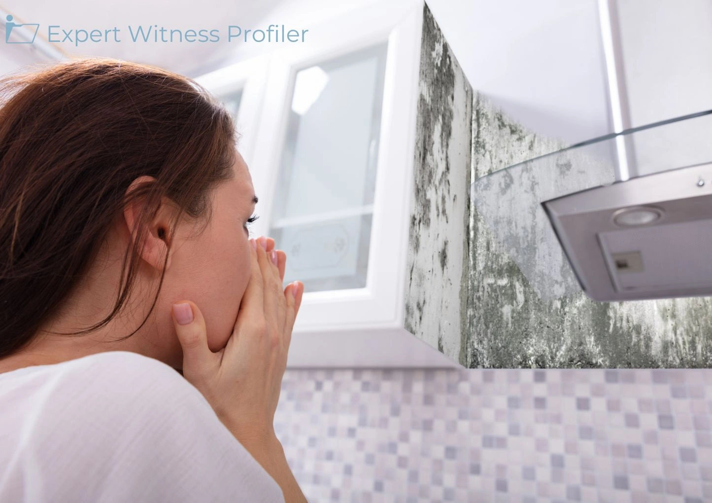 Court admits the testimony of Industrial Hygiene & Mold Expert Witness with regard to source of water intrusions that caused the mold growth